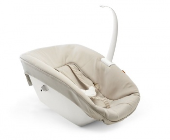 Newborn